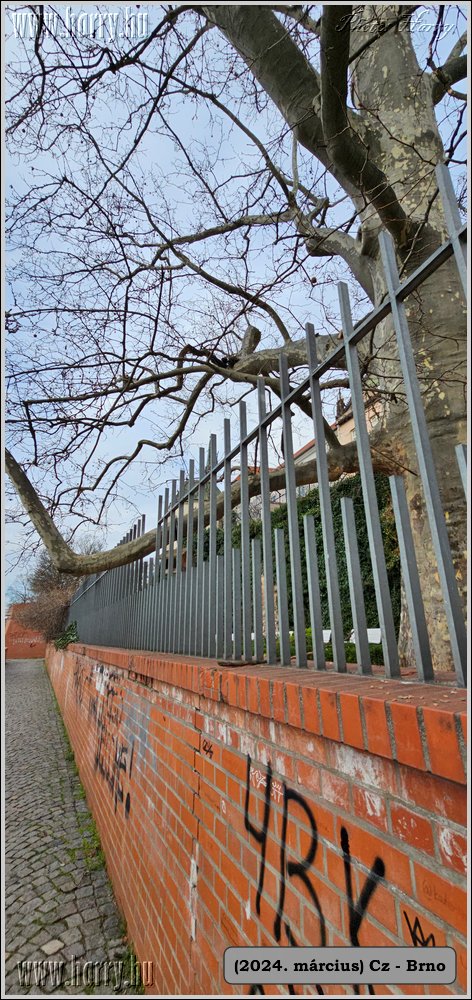 2024.03-Cz-Brno-107.jpg