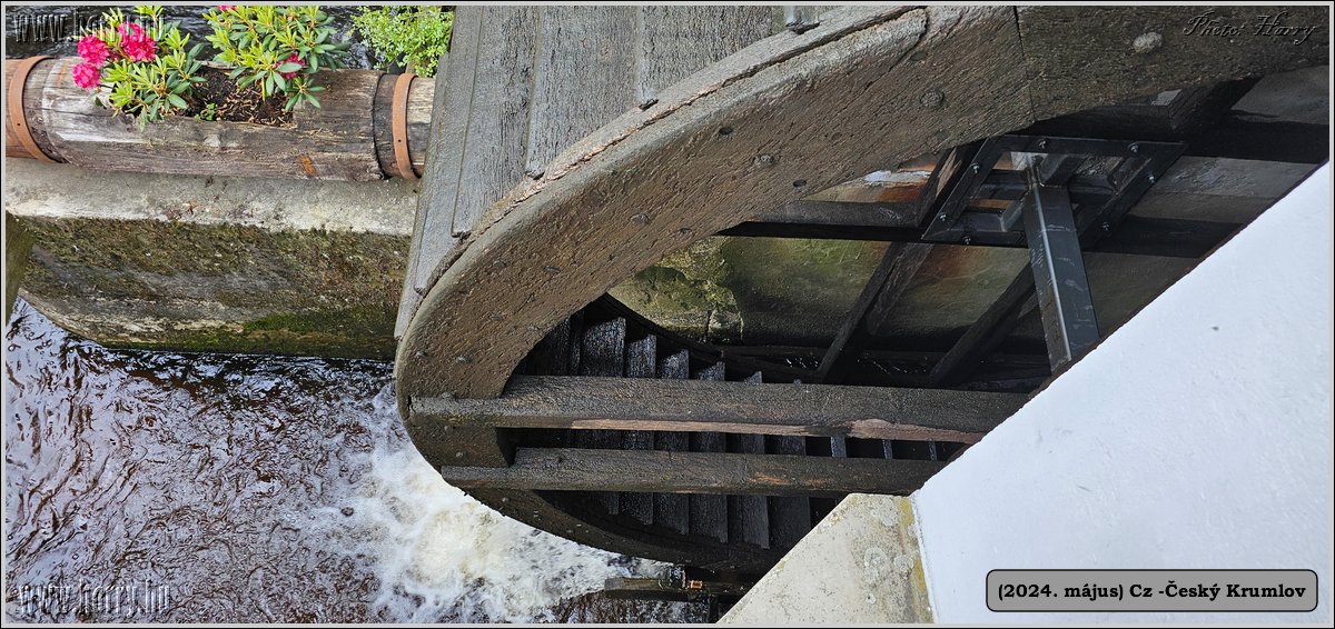 2024.05--Cz-Cesky_Krumlov-219.jpg