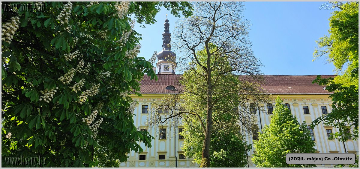 2024.05-Cz-Olmutz-235.jpg