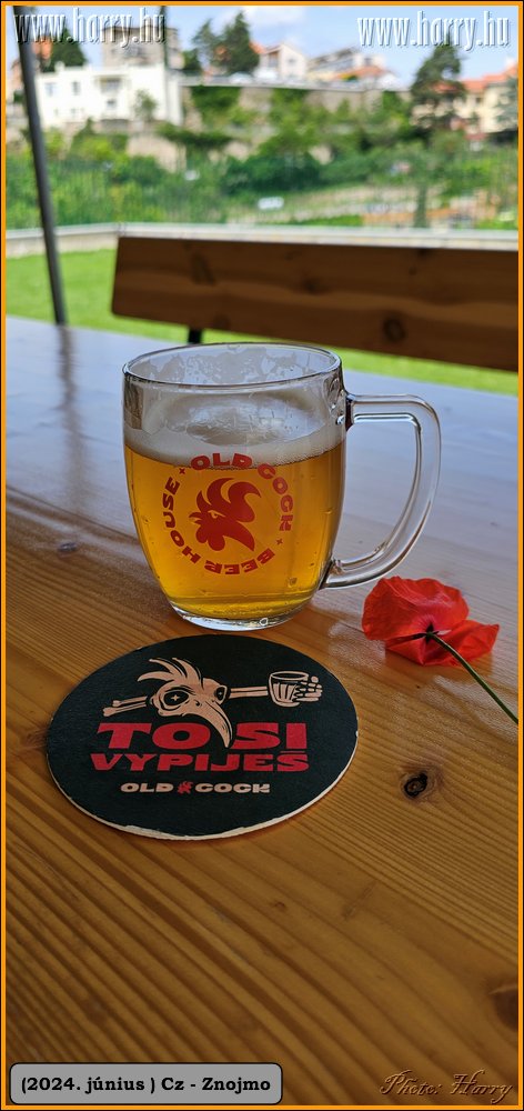 2024.06-Cz-Znojmo-084.jpg