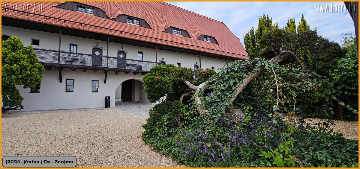 2024.06-Cz-Znojmo-118.jpg