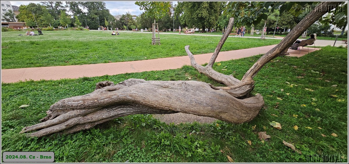 2024.08.-Cz-Brno-027.jpg