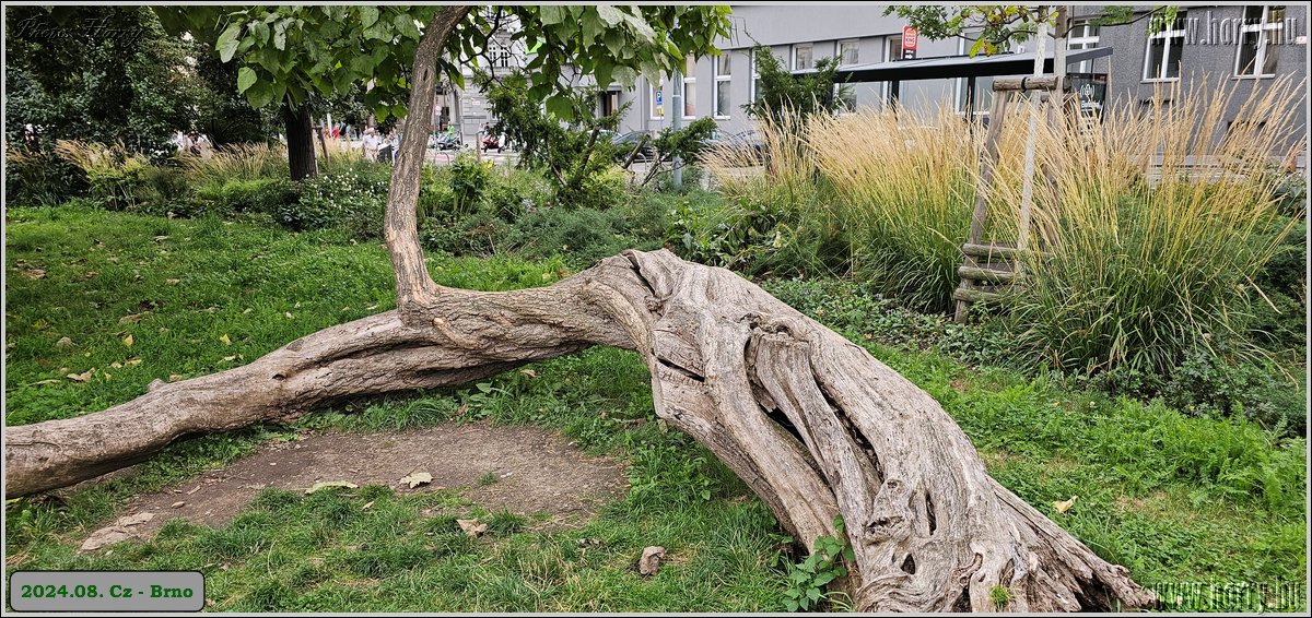 2024.08.-Cz-Brno-030.jpg