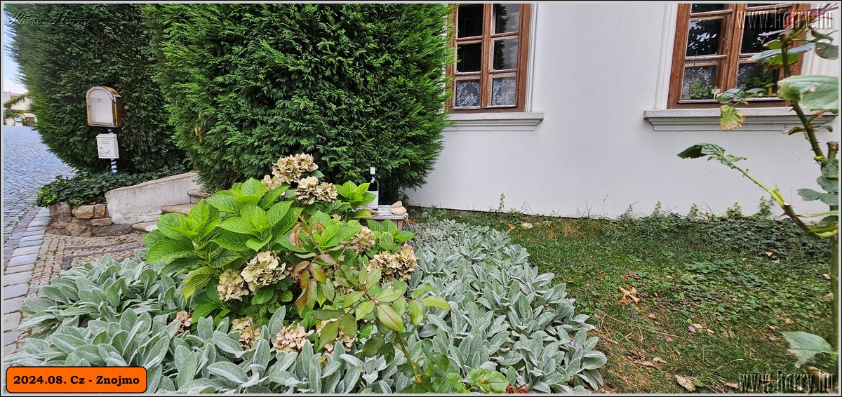 2024.08.-Cz-Znojmo-096.jpg