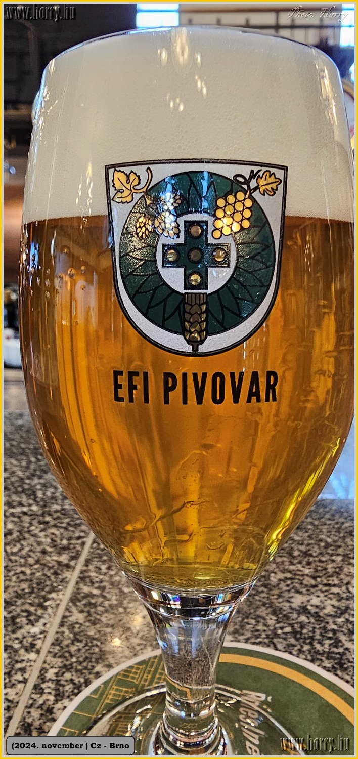 2024.11-Cz-Brno-153.jpg