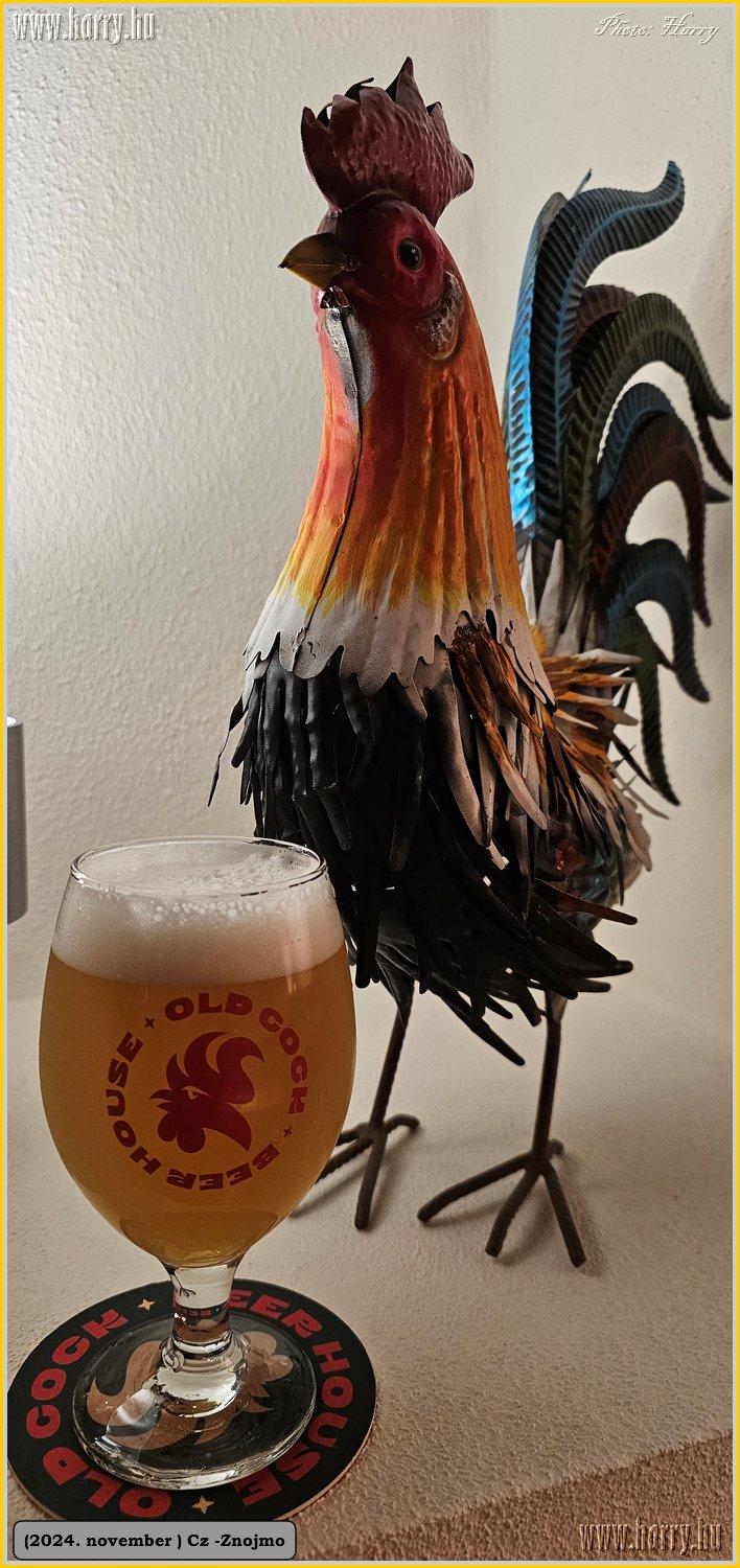 2024.11-Cz-Znojmo-021.jpg