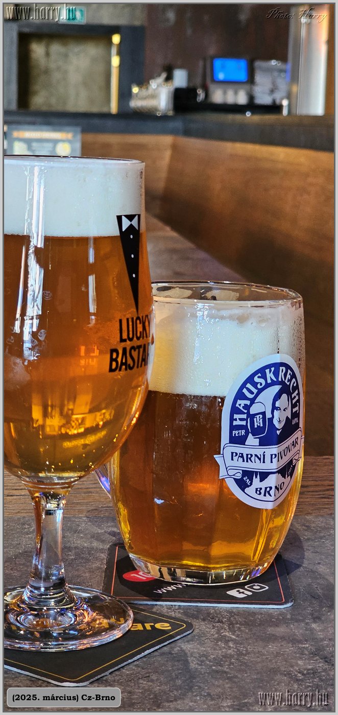 2025.03.-Cz-Brno-28.jpg