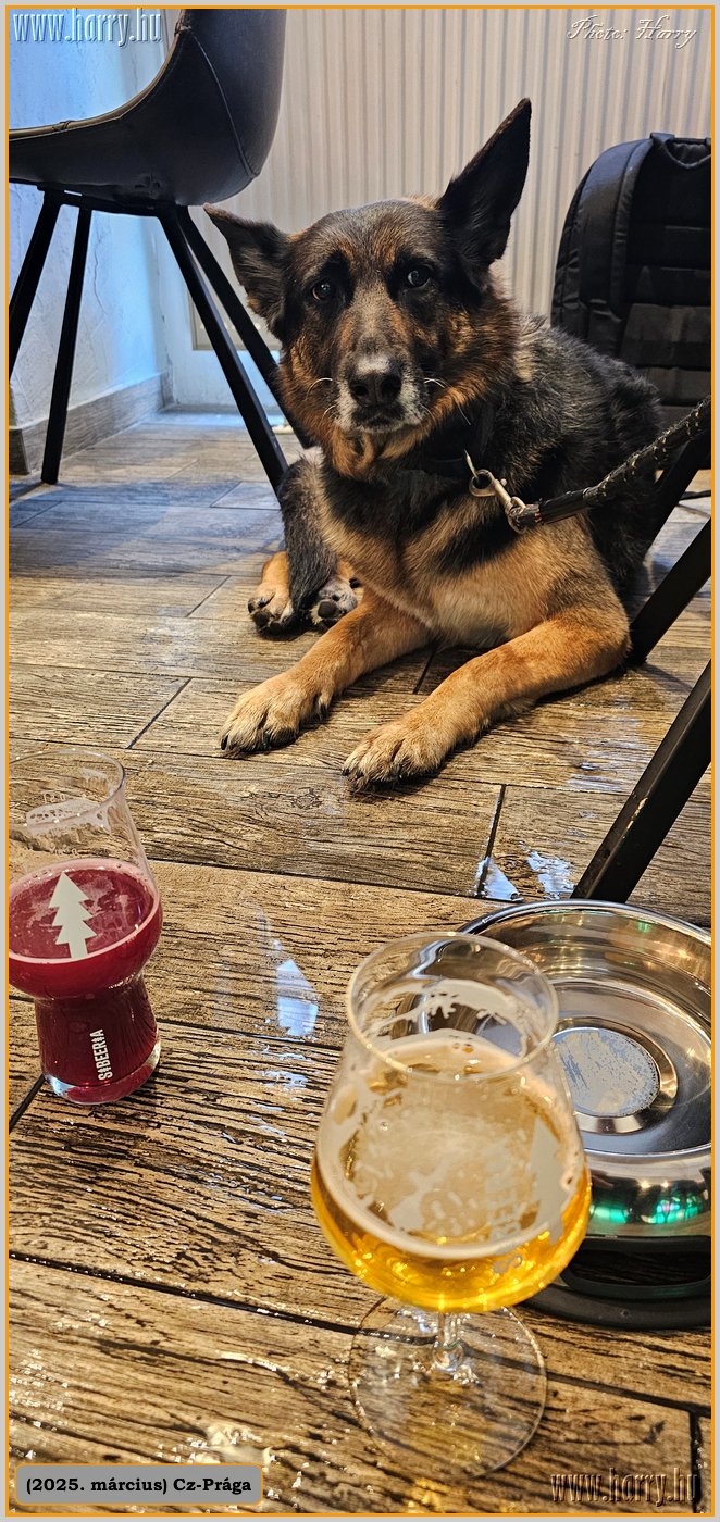 2025.03.-Cz-Praga-195.jpg