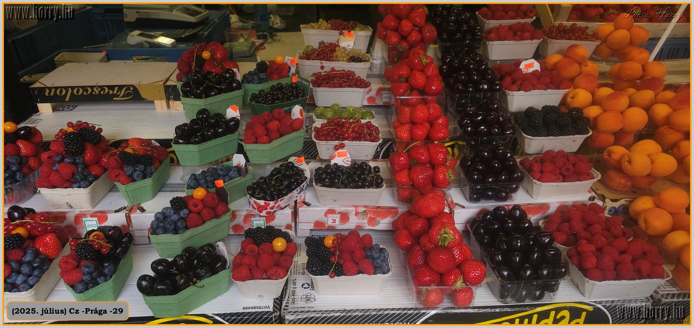 2025.07.-Cz-Praga-29-162.jpg