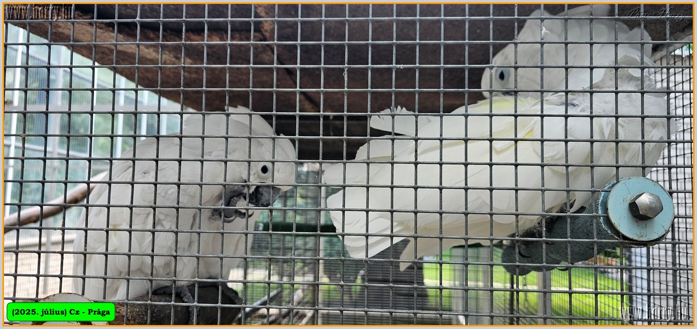 2025.07.-Cz-Praga-30-68.jpg