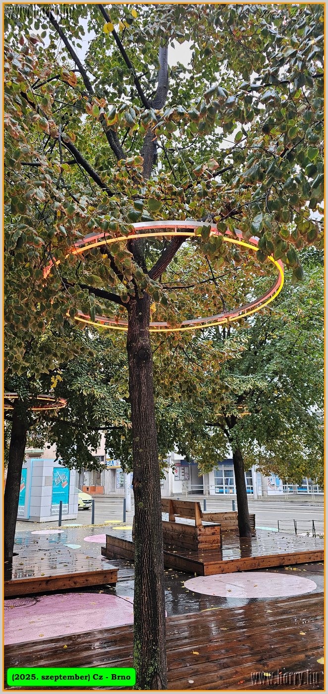 2025.09.-Cz-Brno-062.jpg