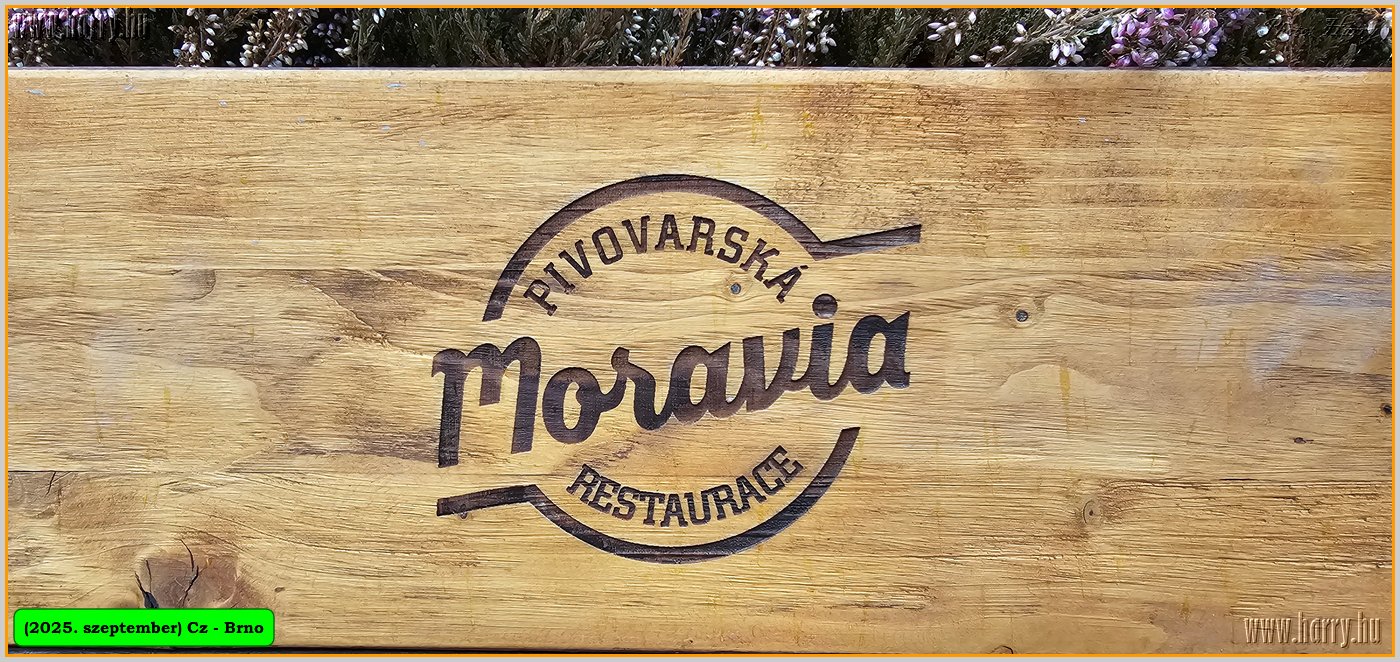 2025.09.-Cz-Brno-066.jpg