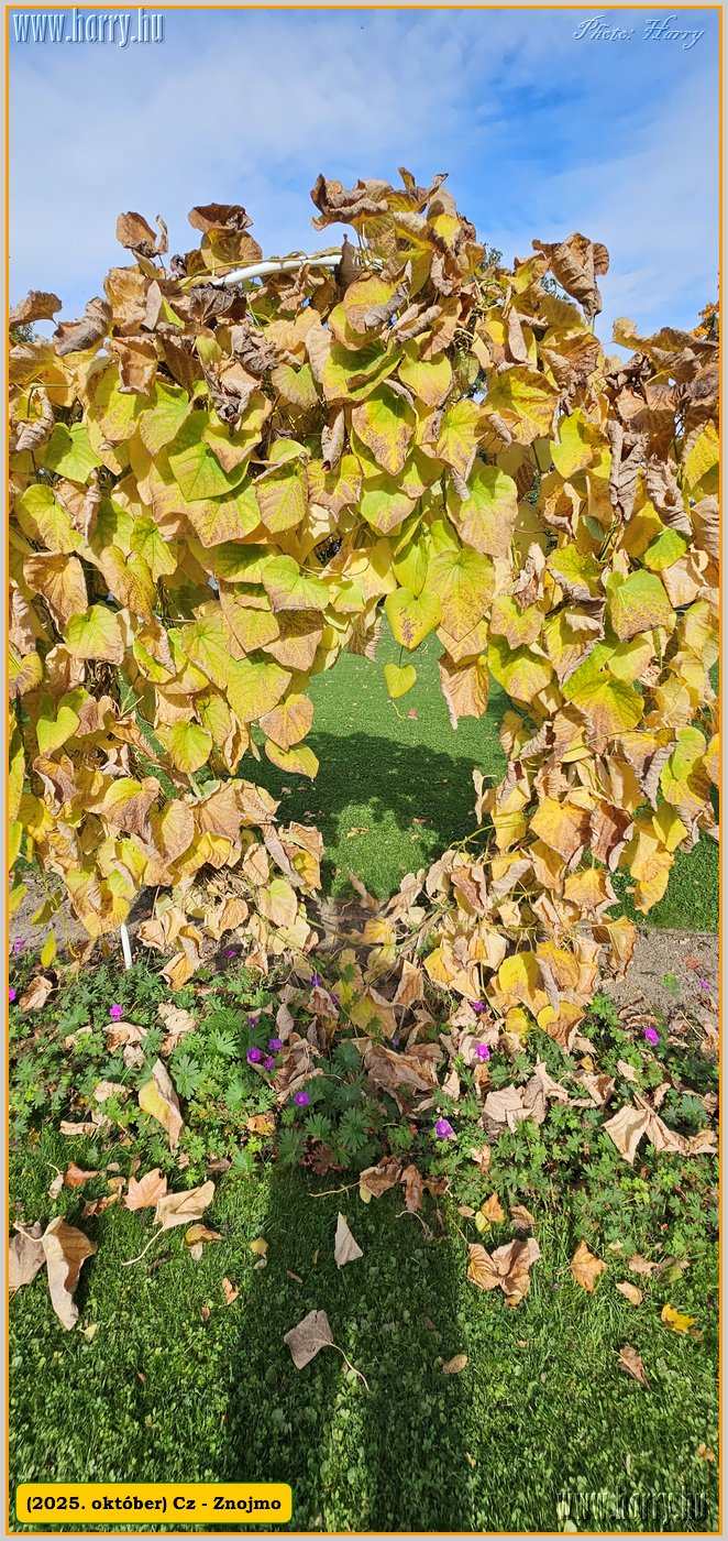 2025.10.-Cz-Znojmo-018.jpg