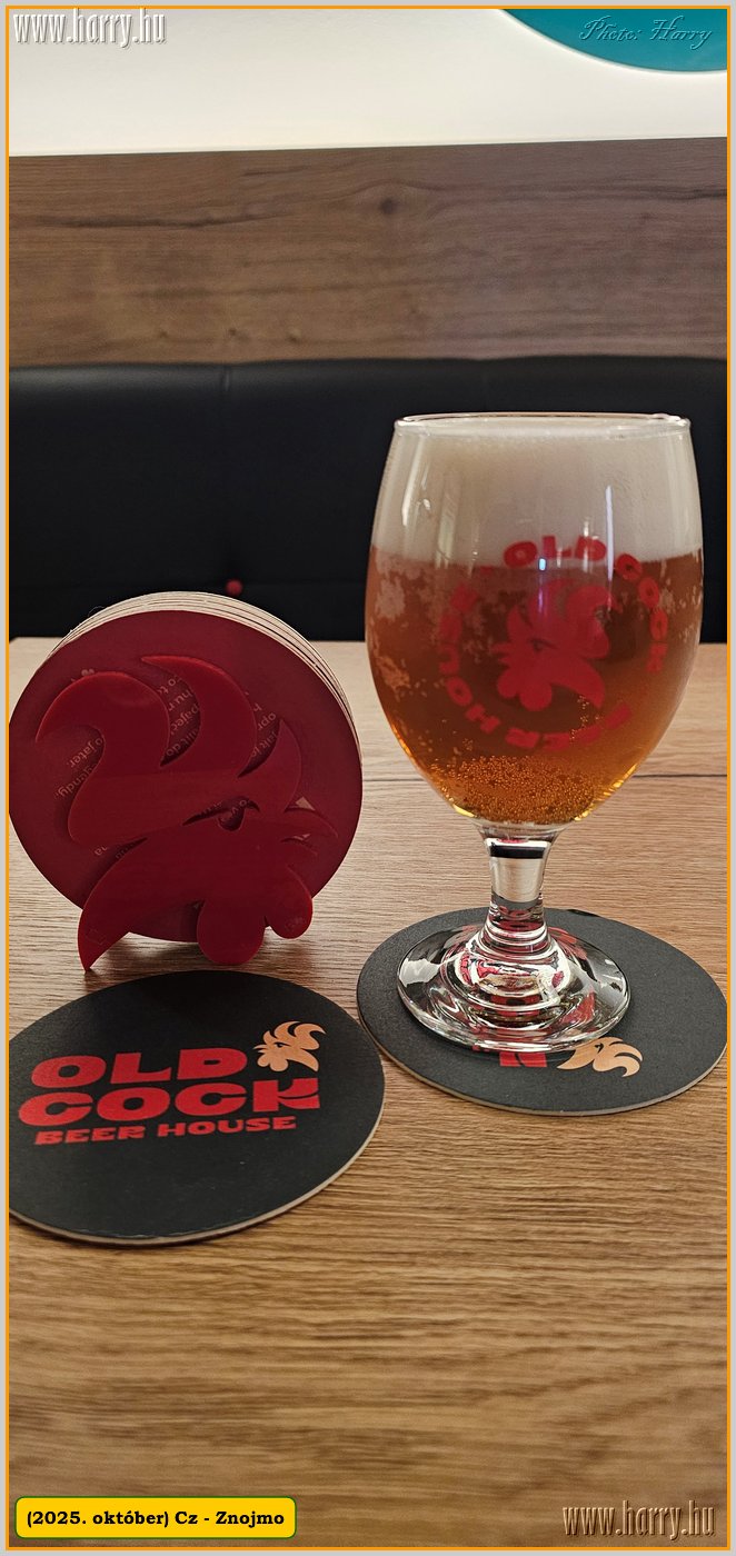 2025.10.-Cz-Znojmo-189.jpg