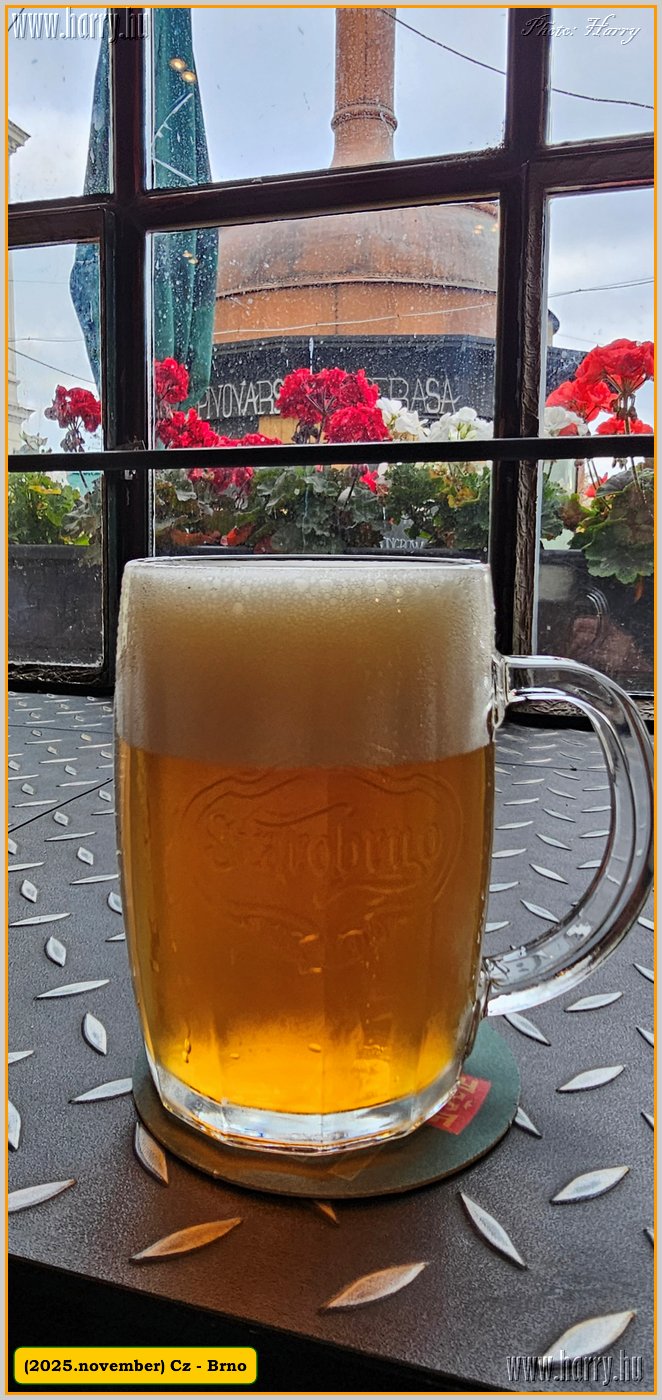 2025.11.-Cz-Brno-03.jpg