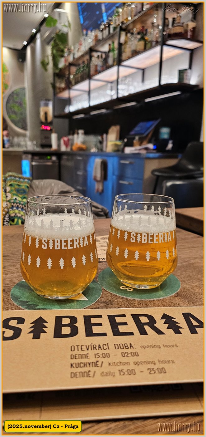 2025.11.-Cz-Praga-198.jpg