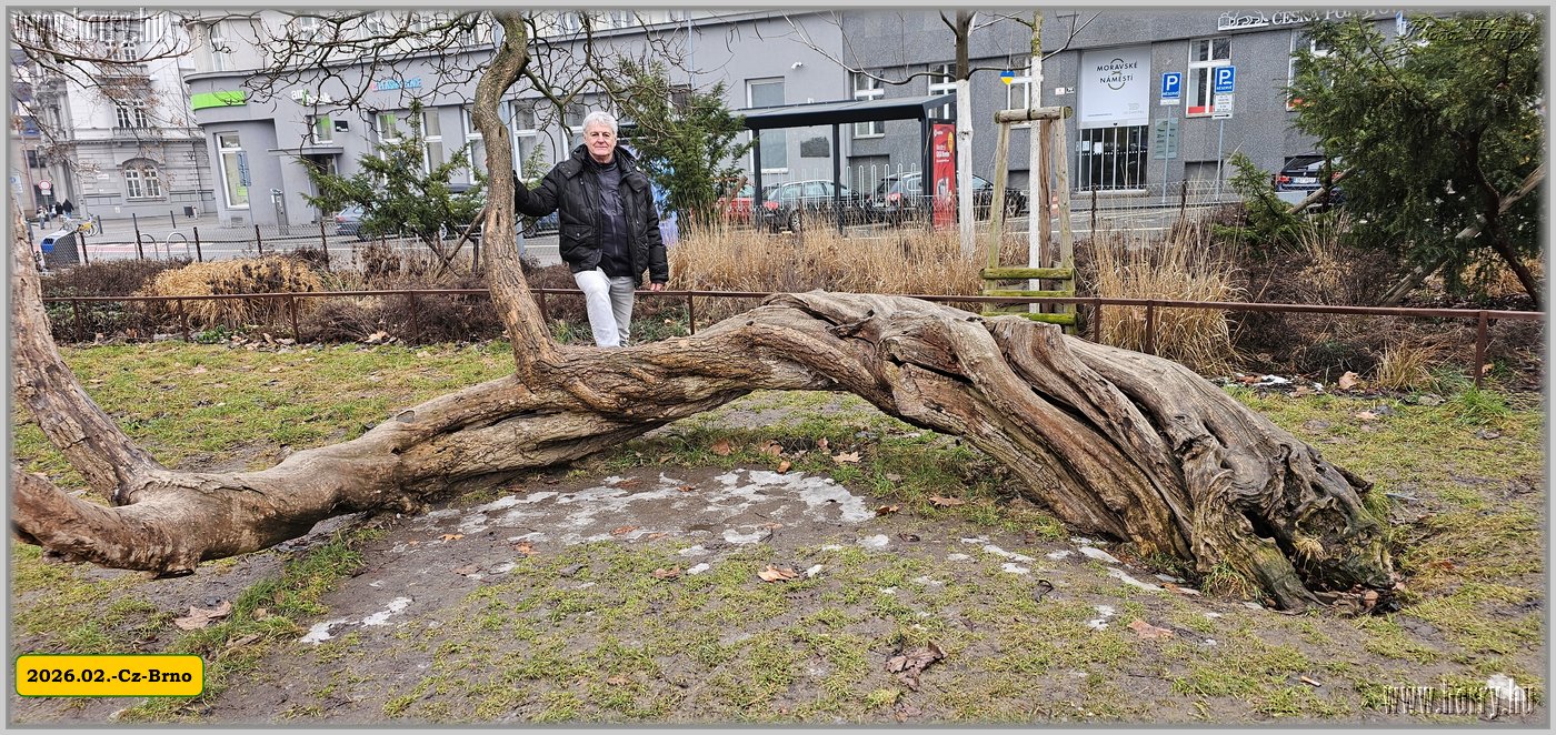2026.02.-Cz-Brno-012.jpg