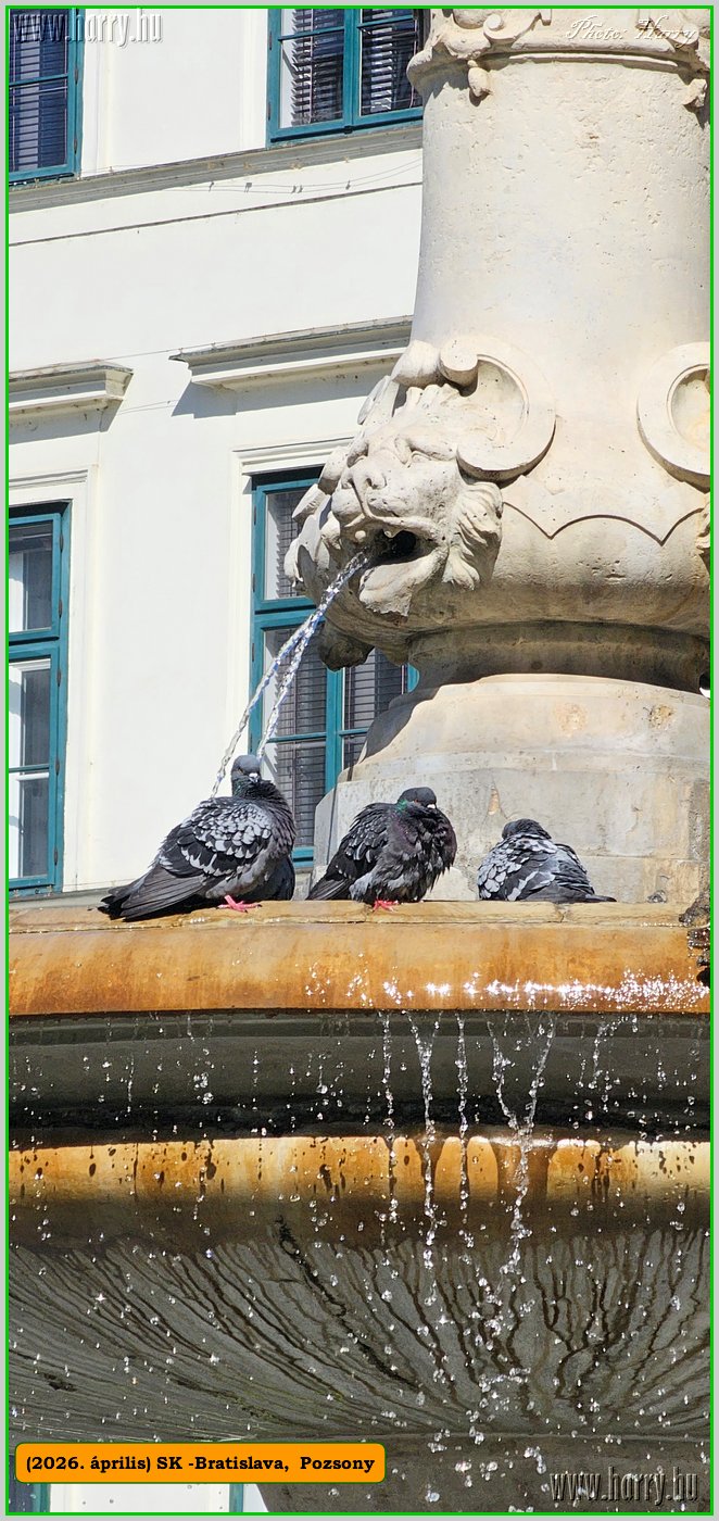 2026.04.-Sk-Pozsony-056.jpg