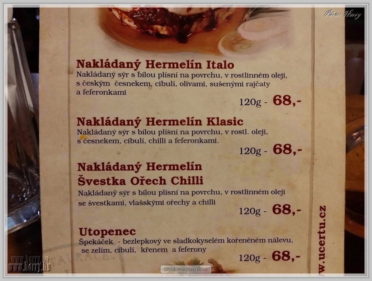 Hermelin-004.jpg